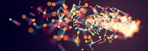 Special Event: Big Data, Meager Returns?