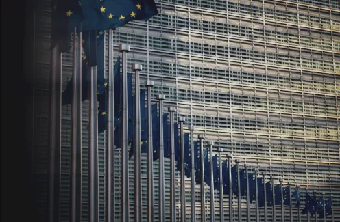 The EU AI Act