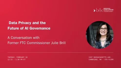 Data Privacy and the Future of AI Governance